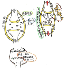 関節をポキポキ鳴らすのは止めましょう